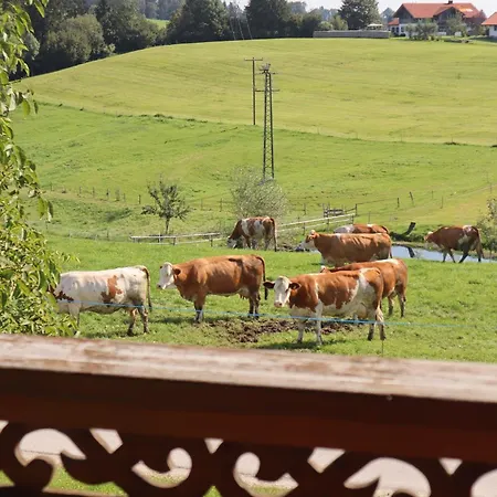 Bertl Apartment Wildsteig